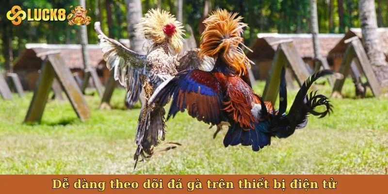 de-dang-theo-doi-da-ga-tren-thiet-bi-dien-tu